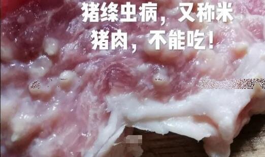 米猪肉煮熟后和脂肪粒的区别图片，千万别吃感染囊虫病超可怕